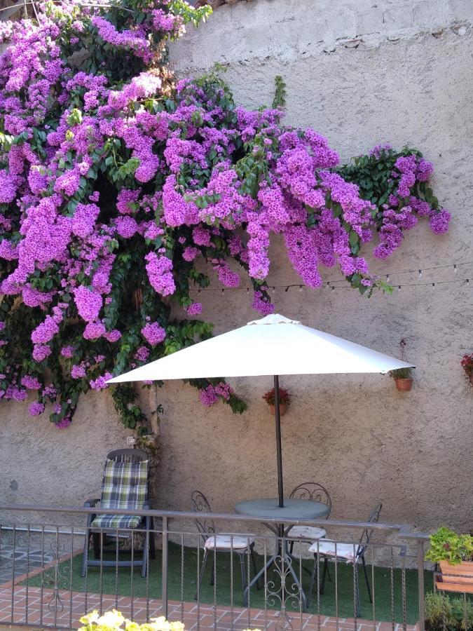 Апартаменты Il Giardino Di Laura Тосколано-Мадерно Экстерьер фото